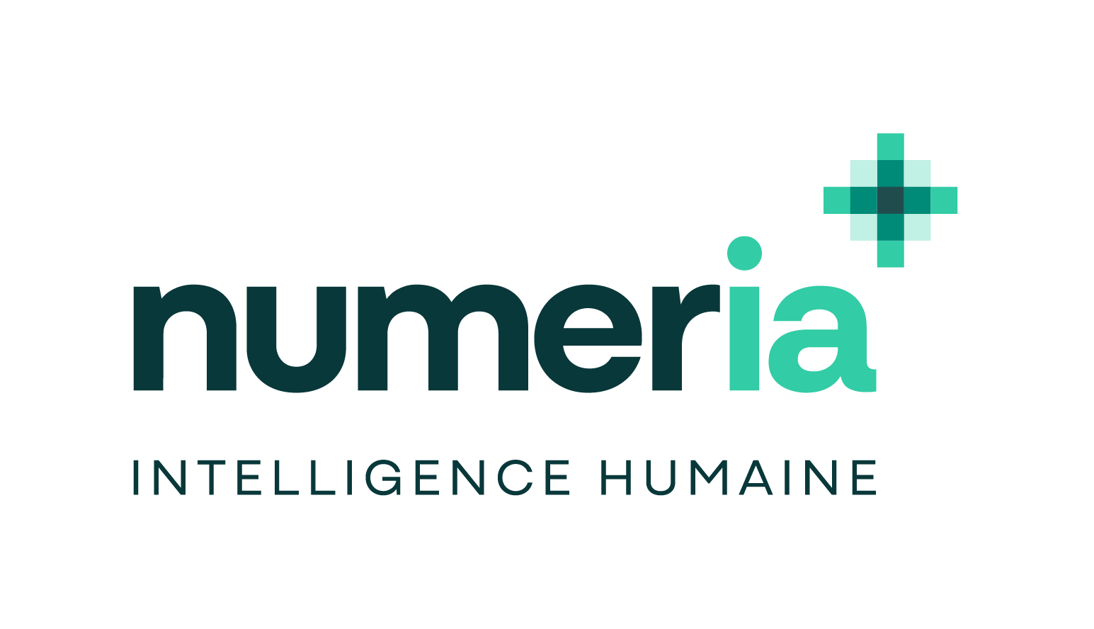 Numeria Intelligence Humaine
